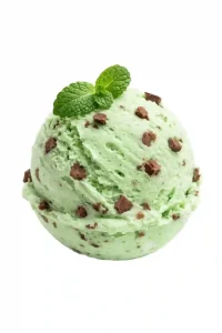 Mint Chocolate Chip
